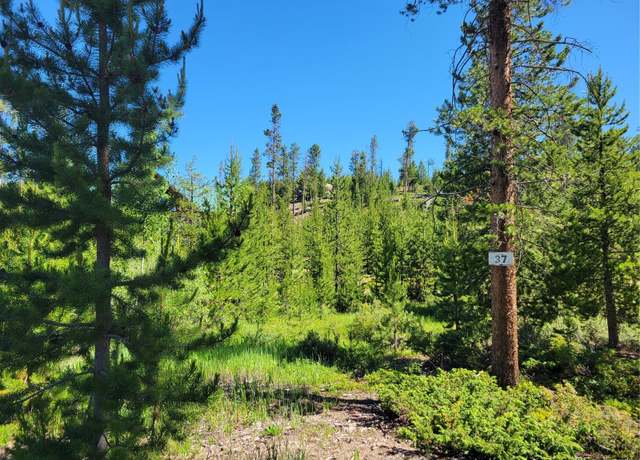Property at 51 Gcr 6621, Grand Lake, CO 80447