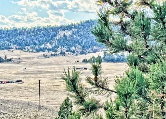 Property at 115 Black Canyon Ct, Hartsel, CO 80449