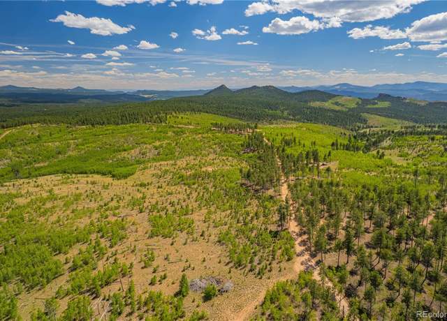 Property at Lot 2 County Road 51, Florissant, CO 80816