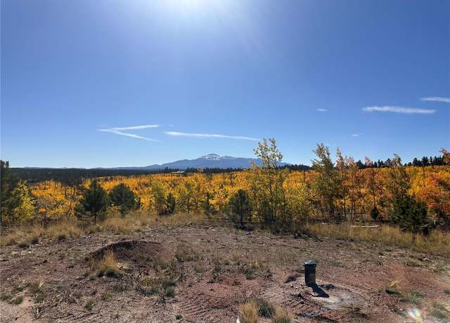 Property at Lot 2 County Road 51, Florissant, CO 80816