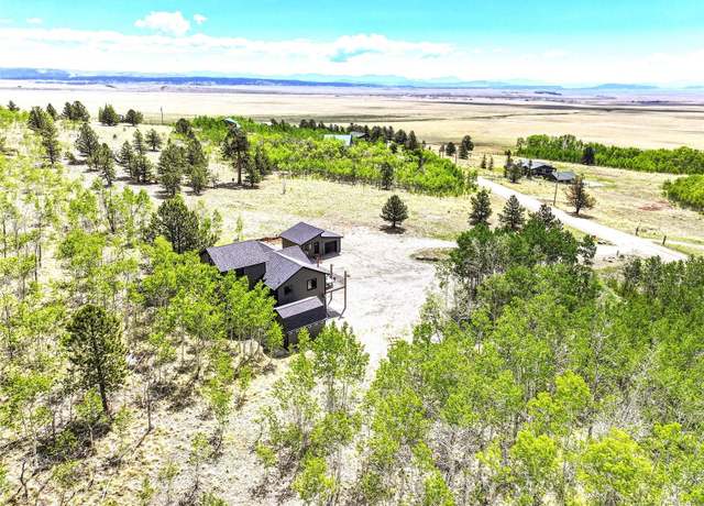 Property at 1424 Sheep Ridge Rd, Fairplay, CO 80440, 4 beds, 2 baths