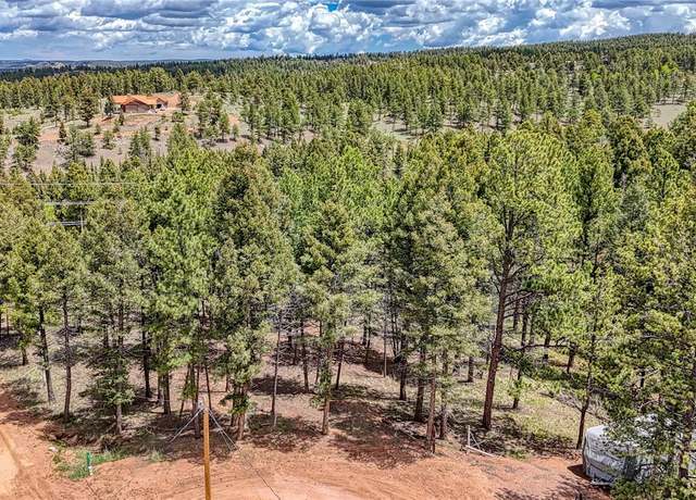 Property at 28 Deer Cir, Florissant, CO 80816