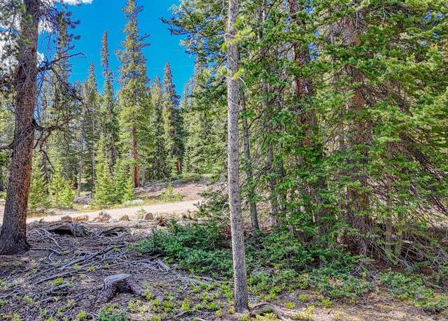 Property at 126 Gold Trail Cutoff, Fairplay, CO 80440