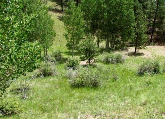 Property at 407 El Paso Ct, Cripple Creek, CO 80813