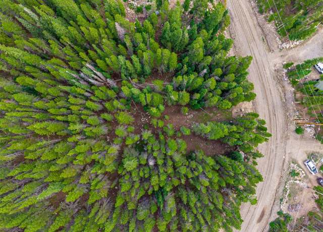 Property at Saint Marys Lot 258 U2, Idaho Springs, CO 80452
