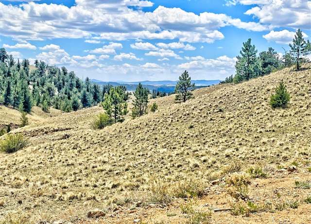 Property at 243 June Ln, Hartsel, CO 80449