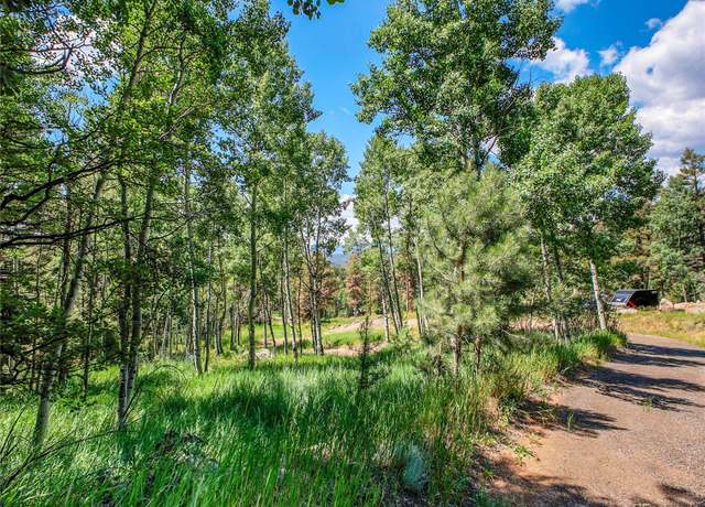 Property at 12286 Styve Rd, Conifer, CO 80433