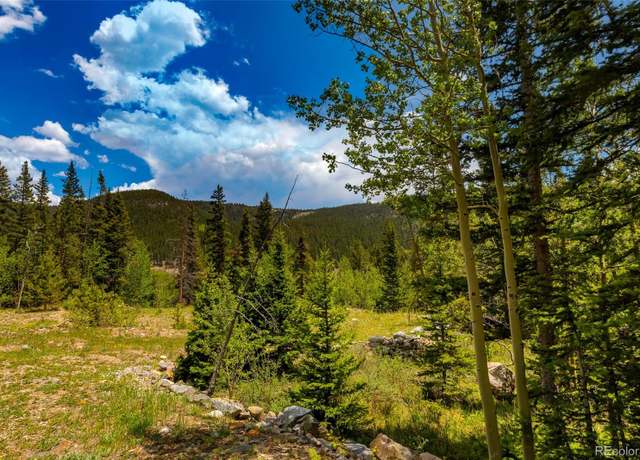 Property at 522 Quartzville Rd, Alma, CO 80420