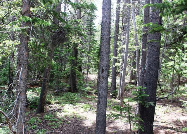 Property at Lot 209 Upper Forest Rd, Idaho Springs, CO 80452
