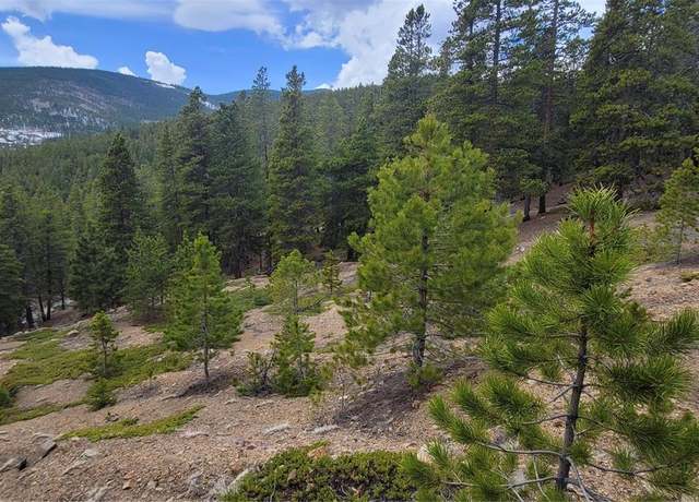 Property at 000 Hildred Claim, Idaho Springs, CO 80452