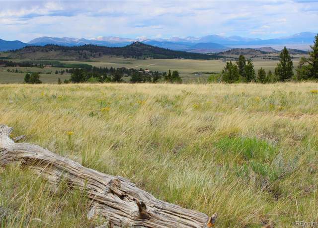 Property at 198 Baler Ct, Hartsel, CO 80449