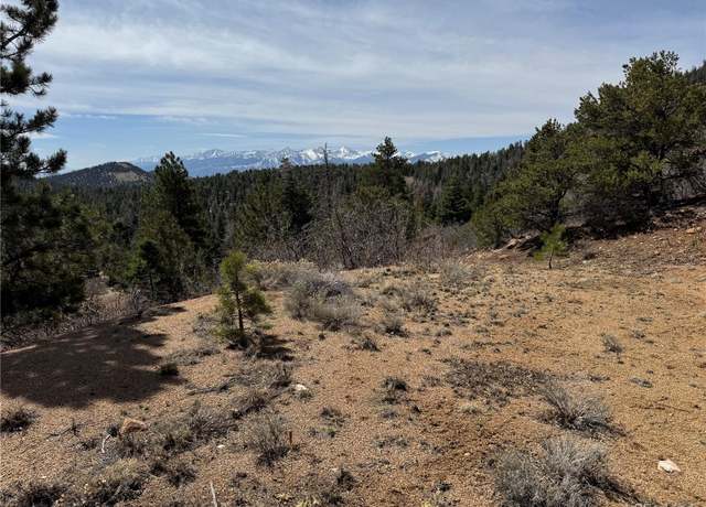 Property at Trail Dr, Cotopaxi, CO 81223