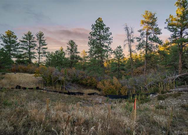 Property at 11011 Sunset Oaks Pl, Franktown, CO 80116