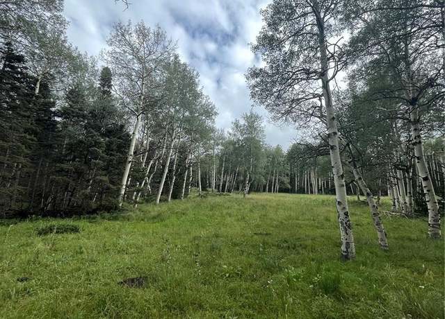 Property at 3085 Henderson Ln, Fort Garland, CO 81133
