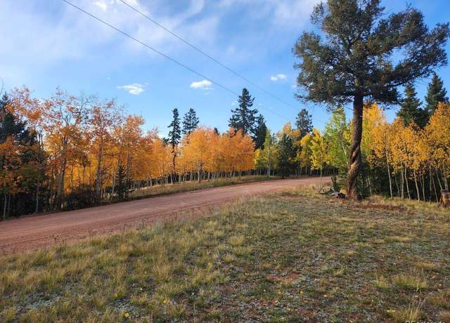 Property at 2642 Yorktown Rd, Cripple Creek, CO 80813