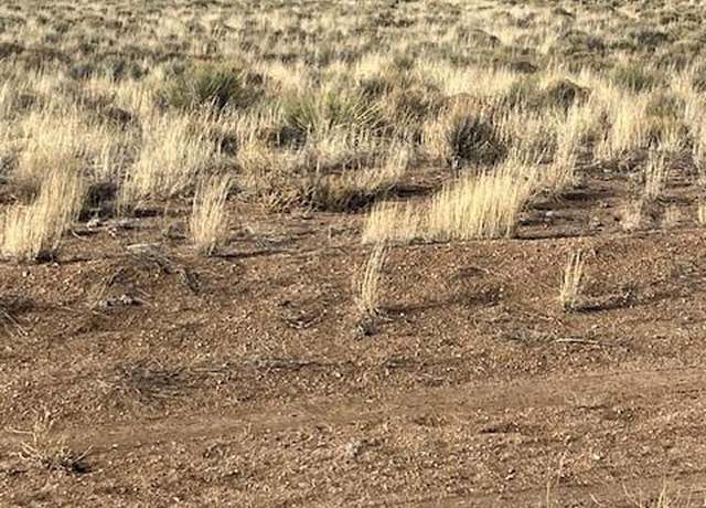 Property at Lot 14 Gallup Trl, San Luis, CO 81152