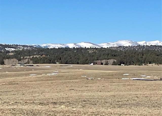 Property at 262 Grand Teton Dr, Hartsel, CO 80449
