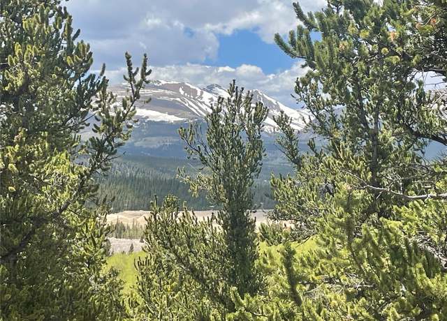 Property at 00 Ponderosa Rd, Fairplay, CO 80440