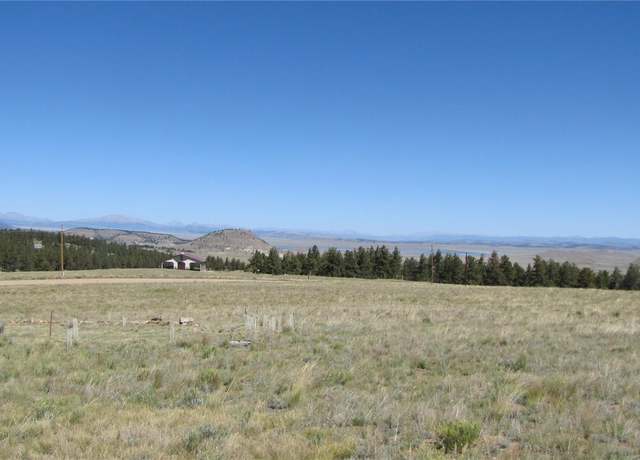 Property at 1198 Wagon Wheel Rd, Hartsel, CO 80449