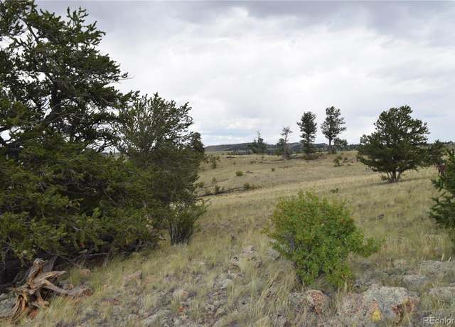 Property at 77 Kames Cir, Hartsel, CO 80449