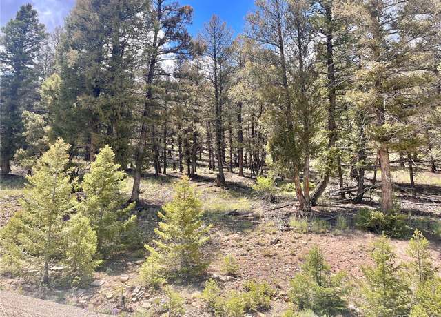 Property at 3015 Redhill Rd, Fairplay, CO 80440