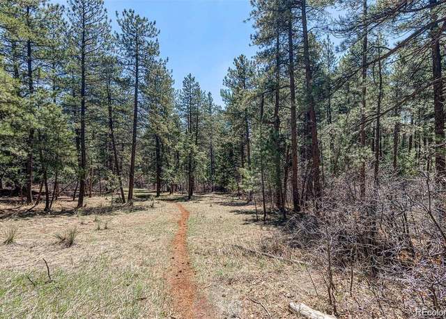 Property at 8173 Bannock Dr, Larkspur, CO 80118