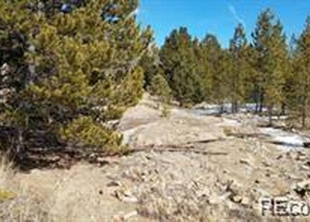 Property at 123 Lizzie Claim, Idaho Springs, CO 80452