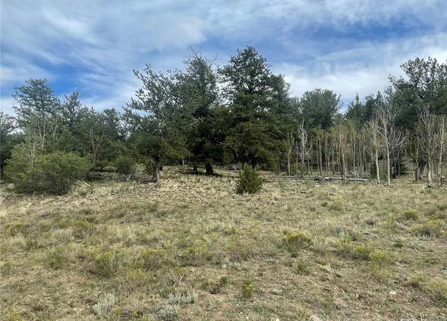 Property at 4193 Goldenburg Canyon Rd, Hartsel, CO 80449