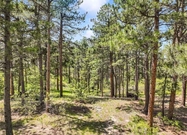 Property at 1180 Lone Scout Lookout, Monument, CO 80132