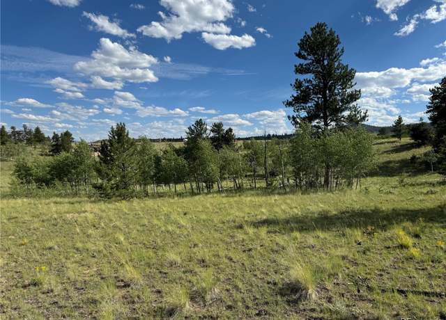 Property at 833 Angus Cir, Hartsel, CO 80449