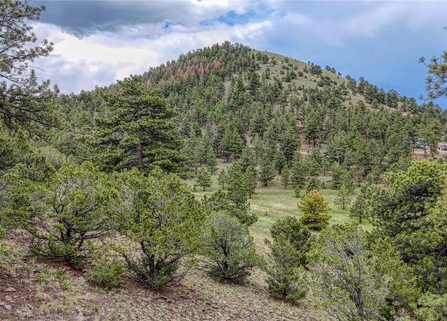 Property at 44 Honeysuckle Ter, Westcliffe, CO 81252
