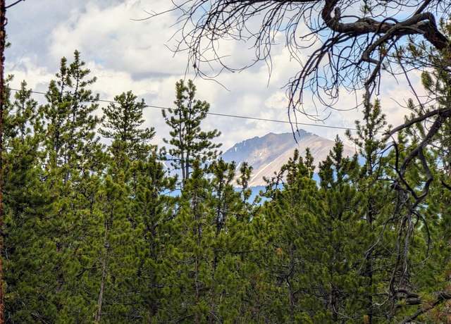 Property at 1073 Sequoia Dr, Twin Lakes, CO 81251