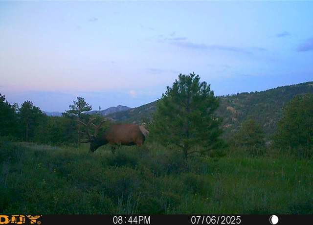 Property at 591599 Soul Shine Rd, Drake, CO 80515