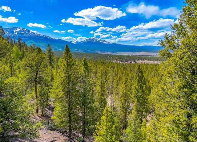 Property at 198 Mt Elbert Rd, Twin Lakes, CO 81251