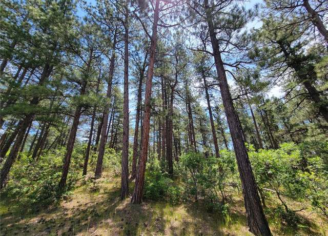 Property at 7169 Independence Ct, Larkspur, CO 80118
