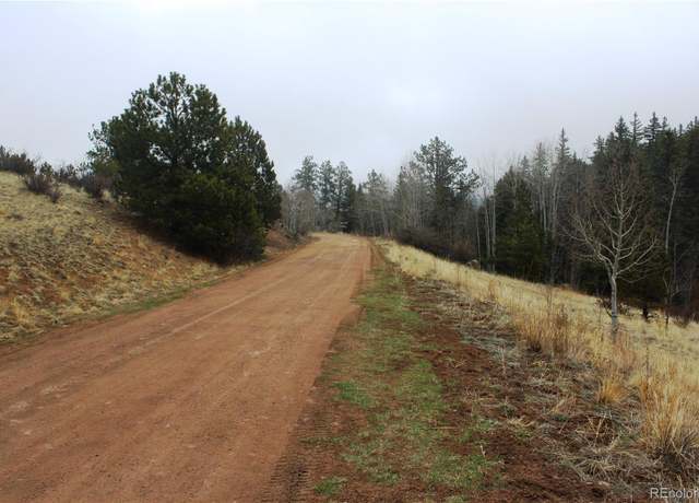 Property at 1620 Park Ridge Dr, Guffey, CO 80820