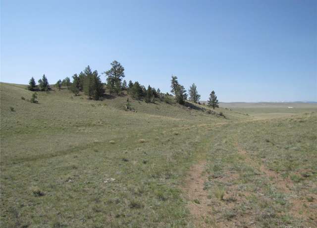 Property at 792 Kinkehee Trl, Hartsel, CO 80449