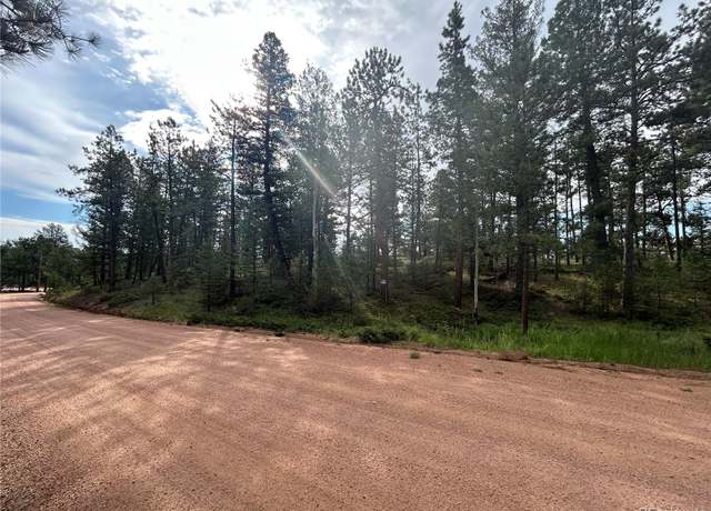 Property at 664 Calle De La Lluvia, Florissant, CO 80816