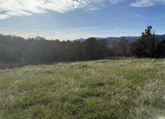 Property at 14495 N Scott Loop, Collbran, CO 81624