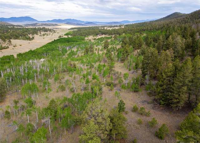 Property at 2396 Fitzsimmons Rd, Hartsel, CO 80449