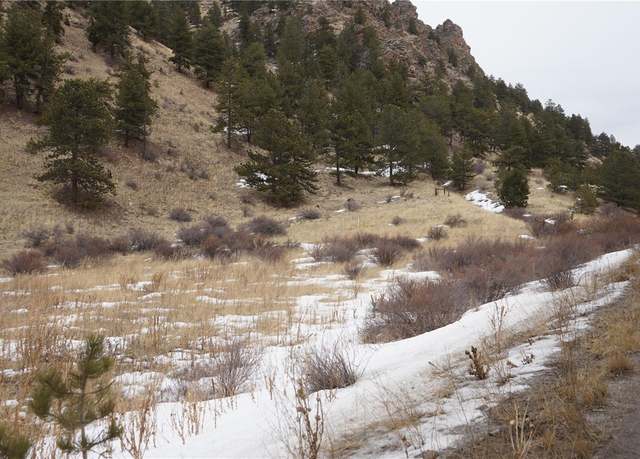 Property at Hwy 285, Bailey, CO 80421