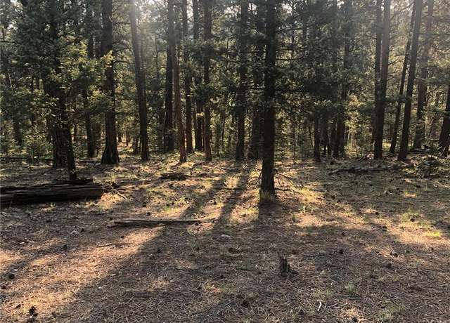 Property at 469 Echo Lake Dr, Lake George, CO 80827