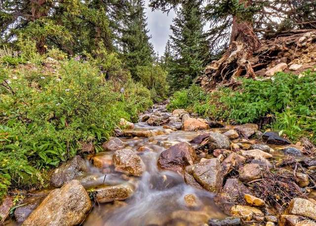 Property at 201 Nuthatch Dr, Alma, CO 80420, 4 beds, 3 baths