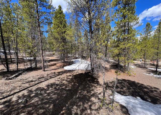 Property at 180 Mt Massive Rd, Twin Lakes, CO 81251