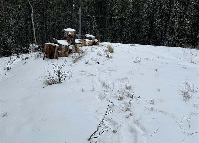 Property at 110 Brown Bear Ln, Cripple Creek, CO 80813