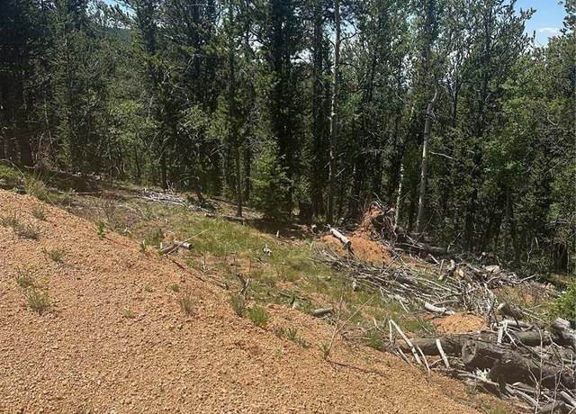 Property at 110 Brown Bear Ln, Cripple Creek, CO 80813