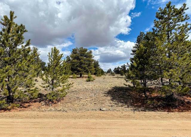 Property at 333 Jasper Way, Hartsel, CO 80449