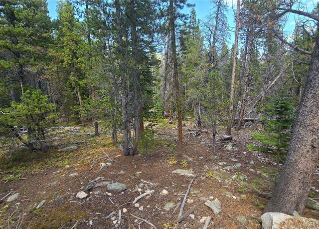 Property at Alice Rd, Idaho Springs, CO 80444