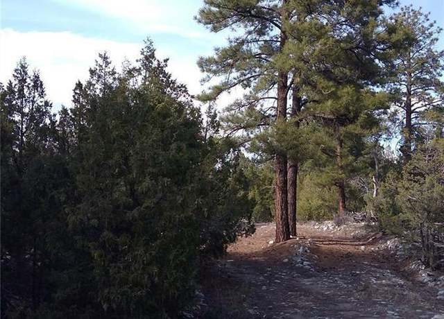Property at 13 Costilla Pl, Mosca, CO 81146