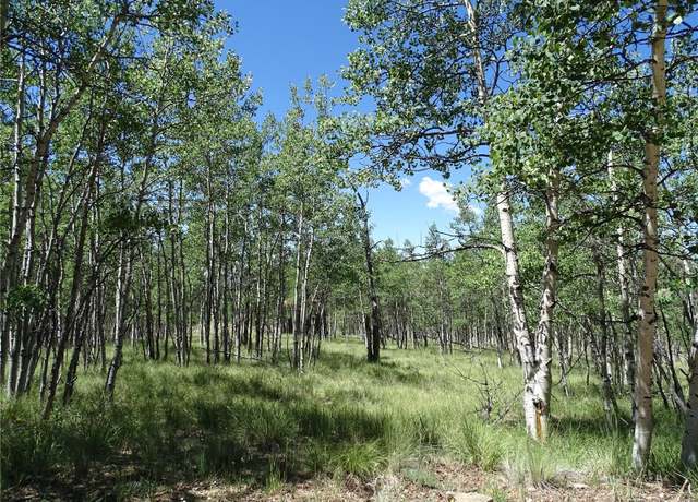 Property at 782 Bowstring Rd, Como, CO 80432